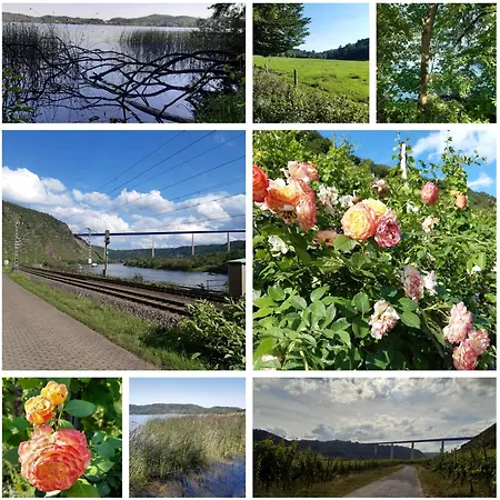 Apartamento Tinyflat33 In Mit Internet Balkon Stellplatz Magenta Tv *