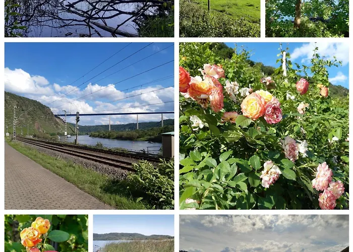 Apartment Tinyflat33 In Mit Internet Balkon Stellplatz Magenta Tv *